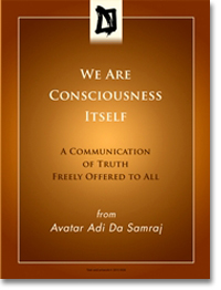 weareconsciousnessitselflg2